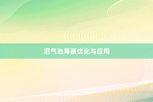 沼气池筹画优化与应用